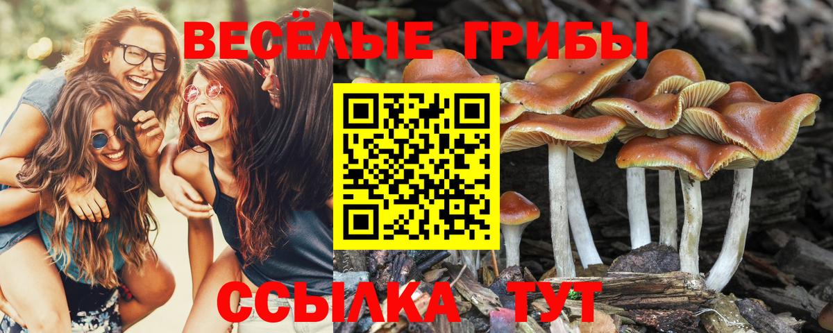 Барабинск  Псилоцибиновые грибы прущие грибы  Вход с VPN 